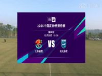 ��Э���ʸ��� �Ϻ��ٳ�������VS���촺�� 20241220