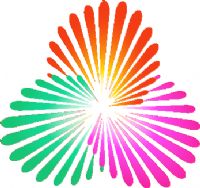 ȫ�˻�Ů���ʸ��� B��-�㽭79.34�ӱ�20250816