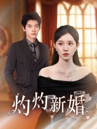 �����»�